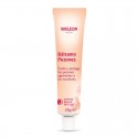 Medela Crema de Lanolina Purelan 37 g